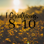 1 Corinthians 8-10 Series