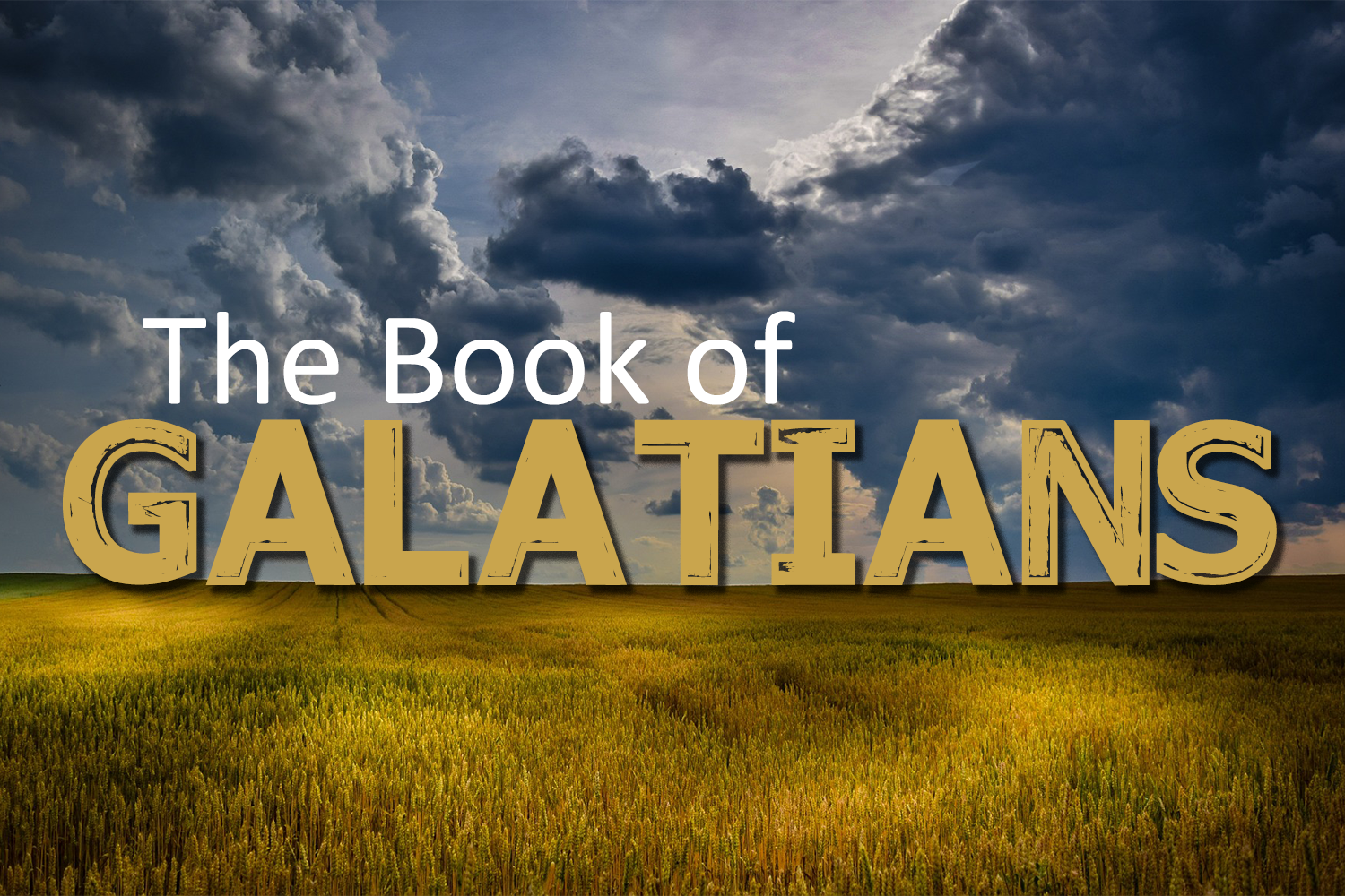 The Book of Galatians Series