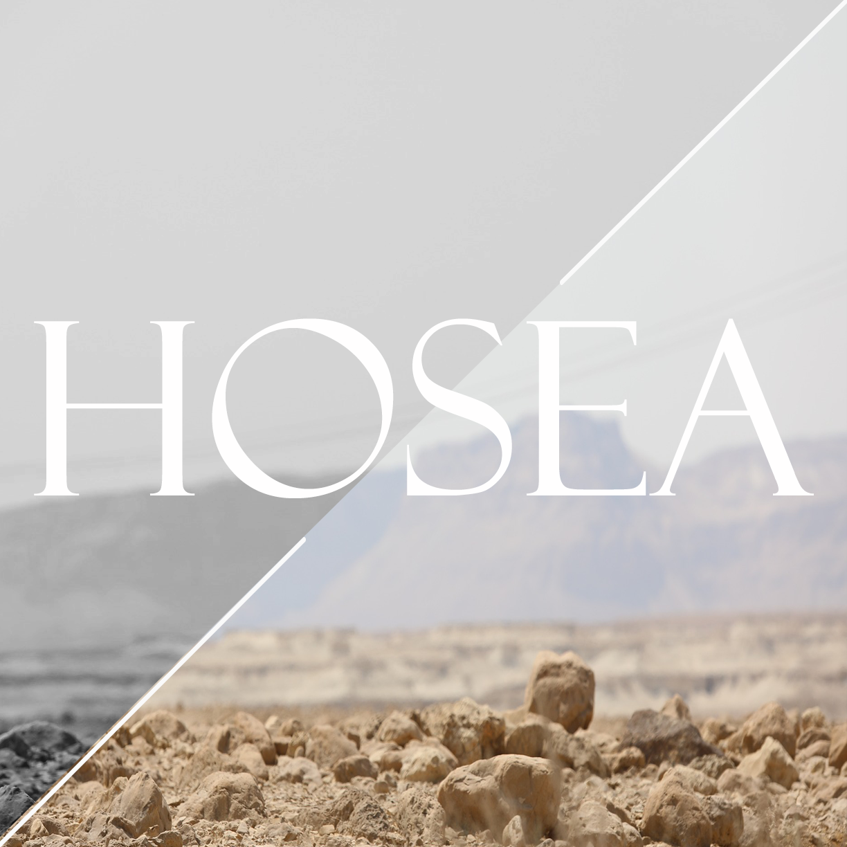 The Book of Hosea Series